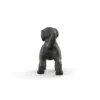 Schwarzer Labrador Retriever Welpe