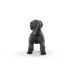 Schwarzer Labrador Retriever Welpe
