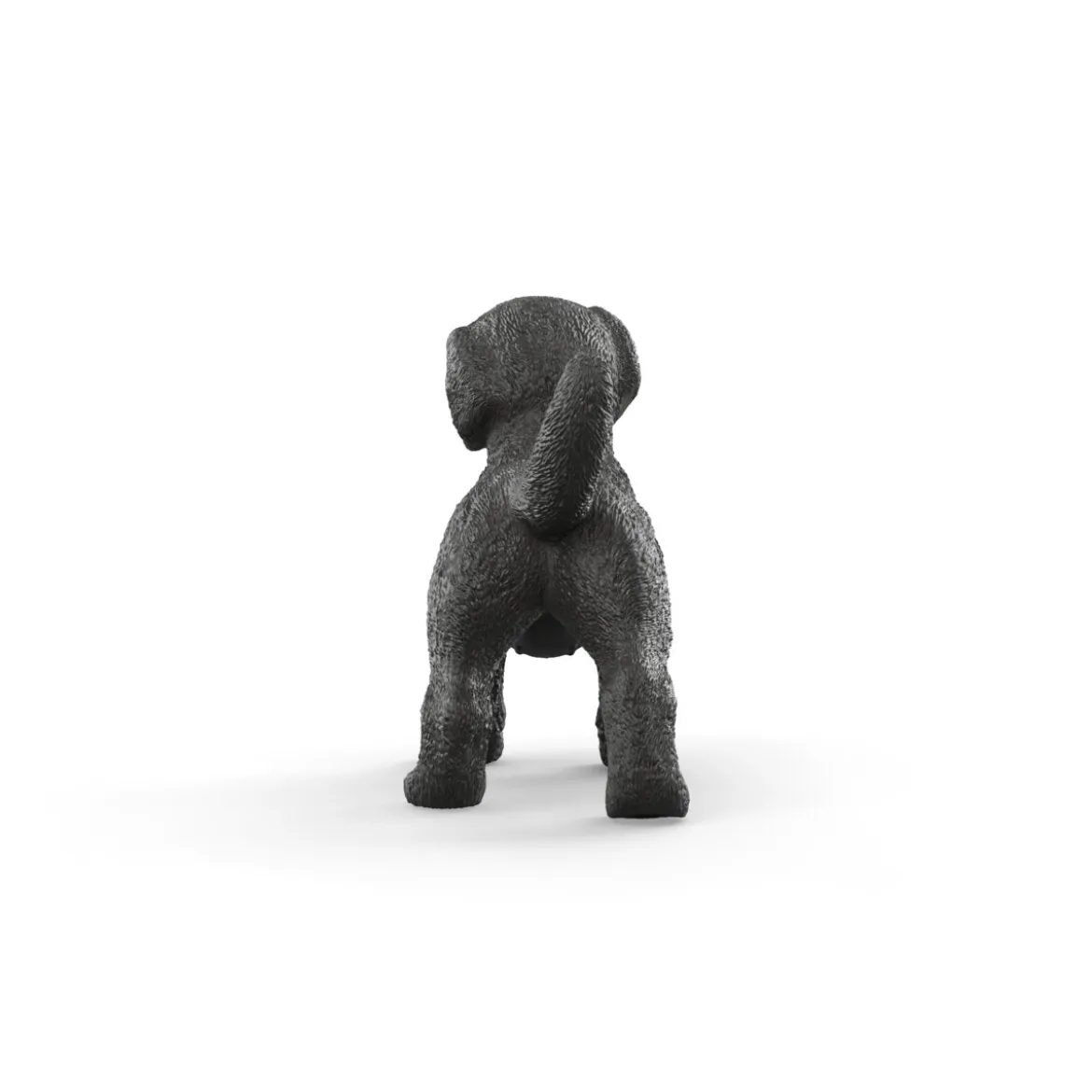 Schwarzer Labrador Retriever Welpe