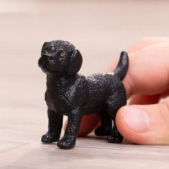 Schwarzer Labrador Retriever Welpe