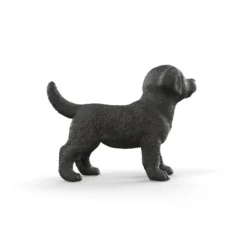 Schwarzer Labrador Retriever Welpe