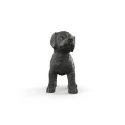 Schwarzer Labrador Retriever Welpe