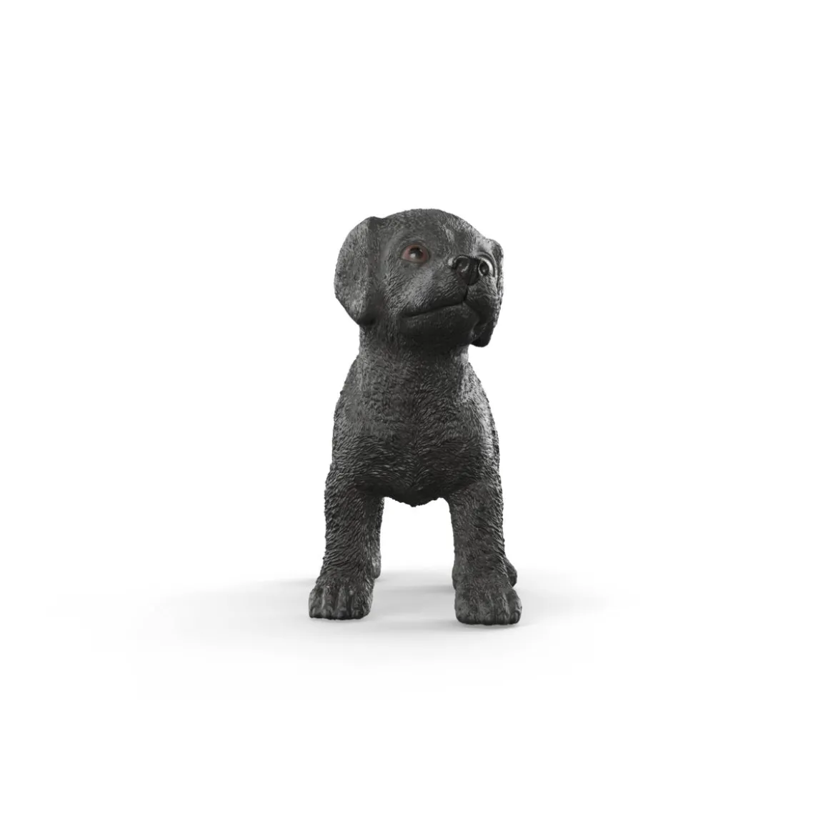 Schwarzer Labrador Retriever Welpe