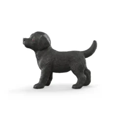 Schwarzer Labrador Retriever Welpe