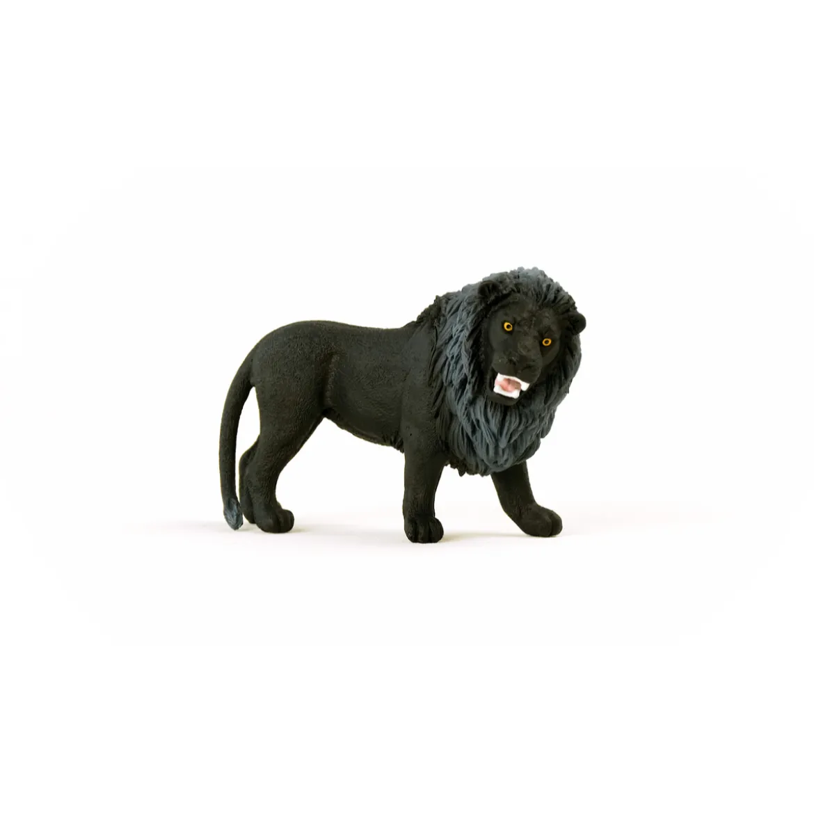 Schwarzer Löwe