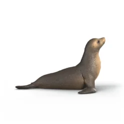 Seelöwe