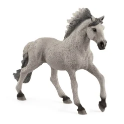 Sorraia Mustang Hengst