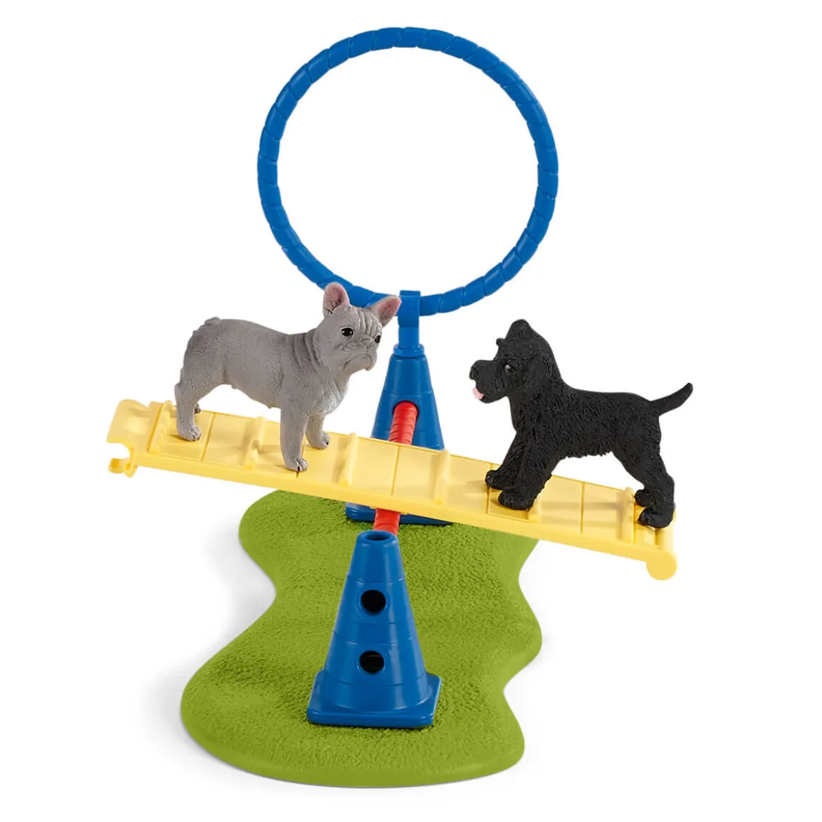 Spielspaß für Hunde