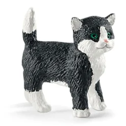 Spielspaß für niedliche Katzen