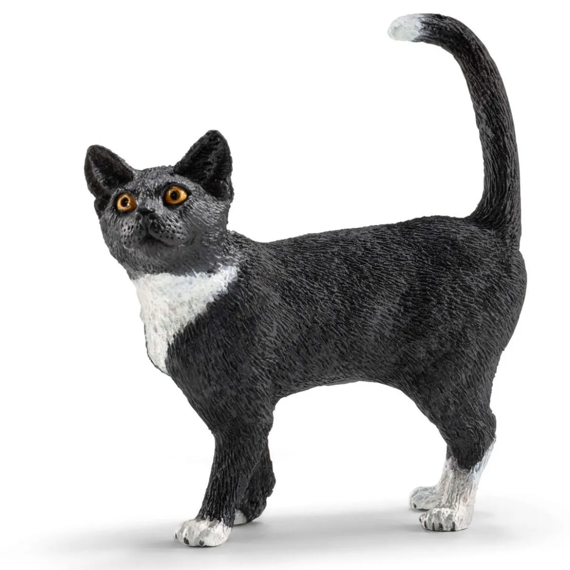 Spielspaß für niedliche Katzen