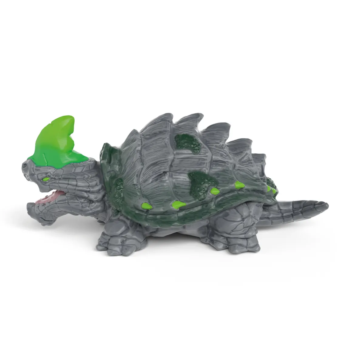 Steinschildkröte