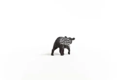 Tapir Junges