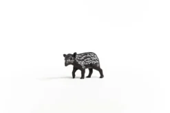 Tapir Junges