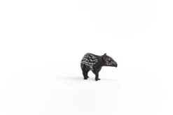 Tapir Junges