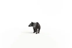 Tapir Junges