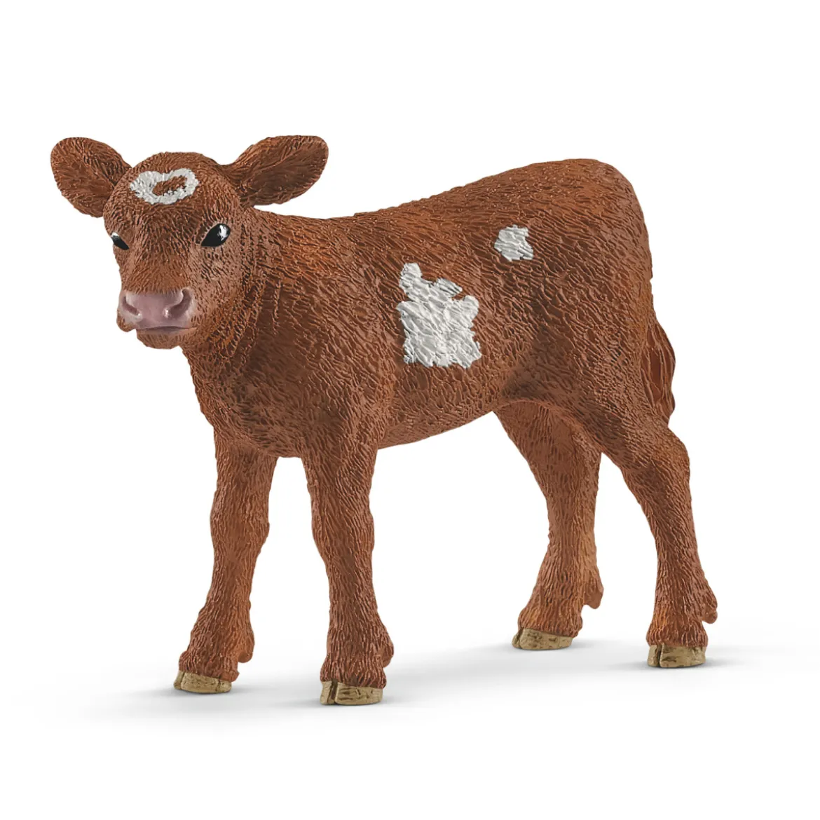 Texas Longhorn Kalb (Bundle)