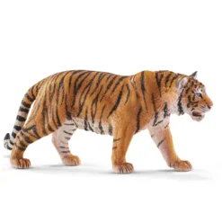 Tiger (Bundle)