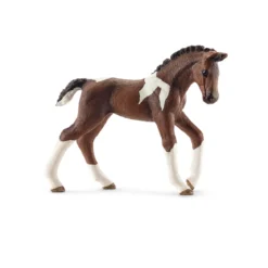 Trakehner Fohlen