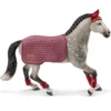 Trakehner Stute Reitturnier