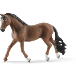 Trakehner Wallach