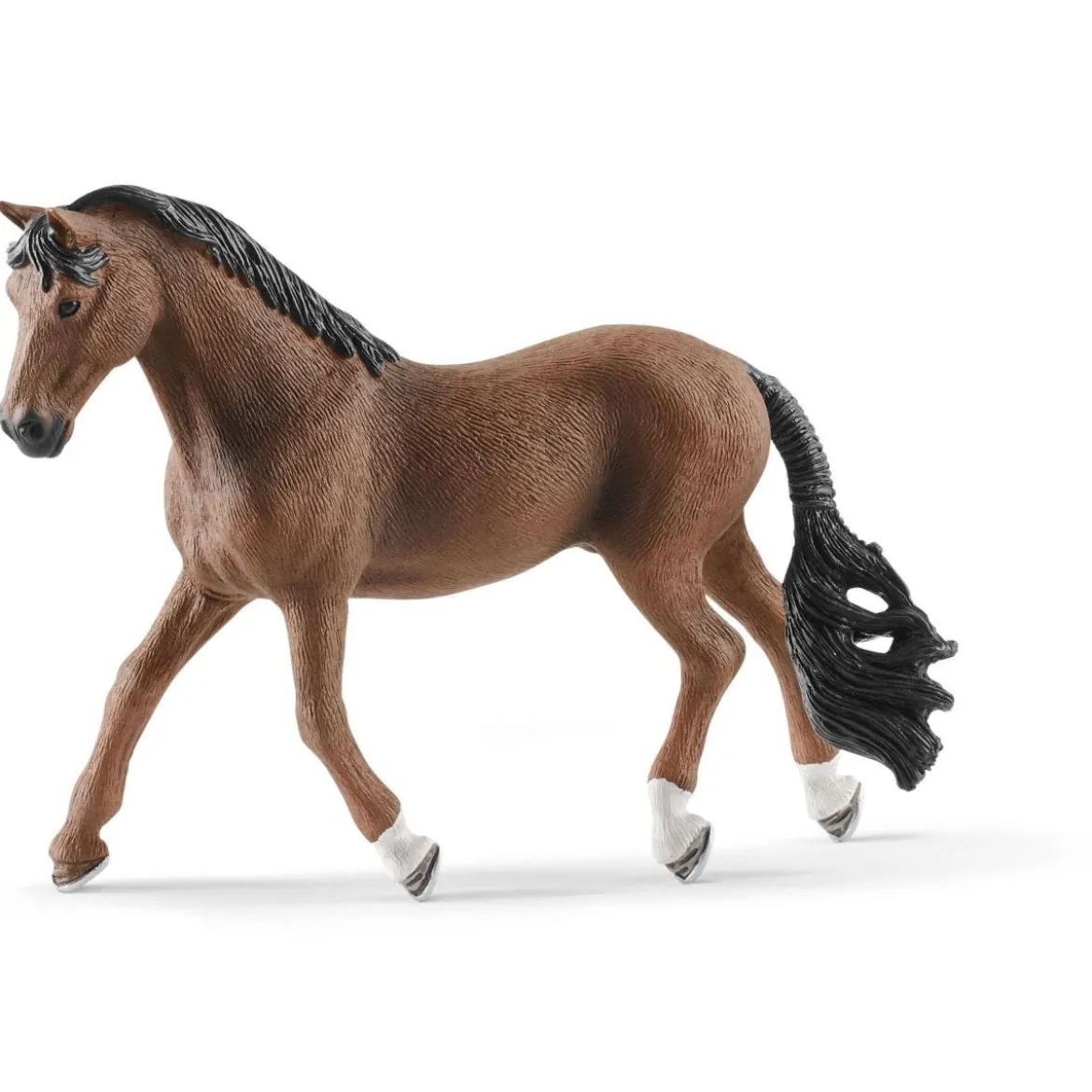 Trakehner Wallach