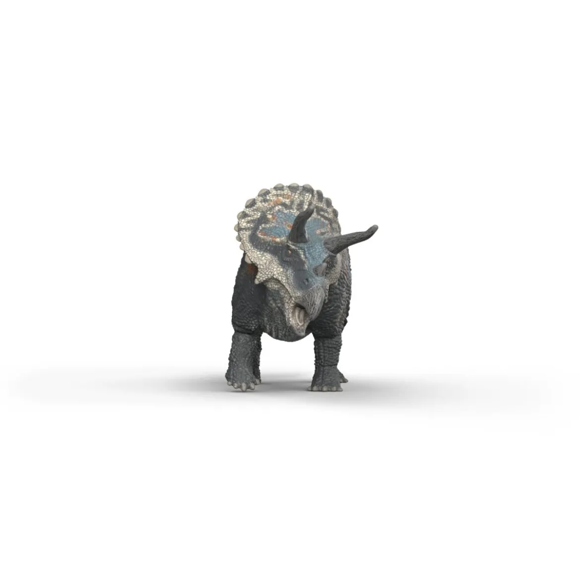 Triceratops