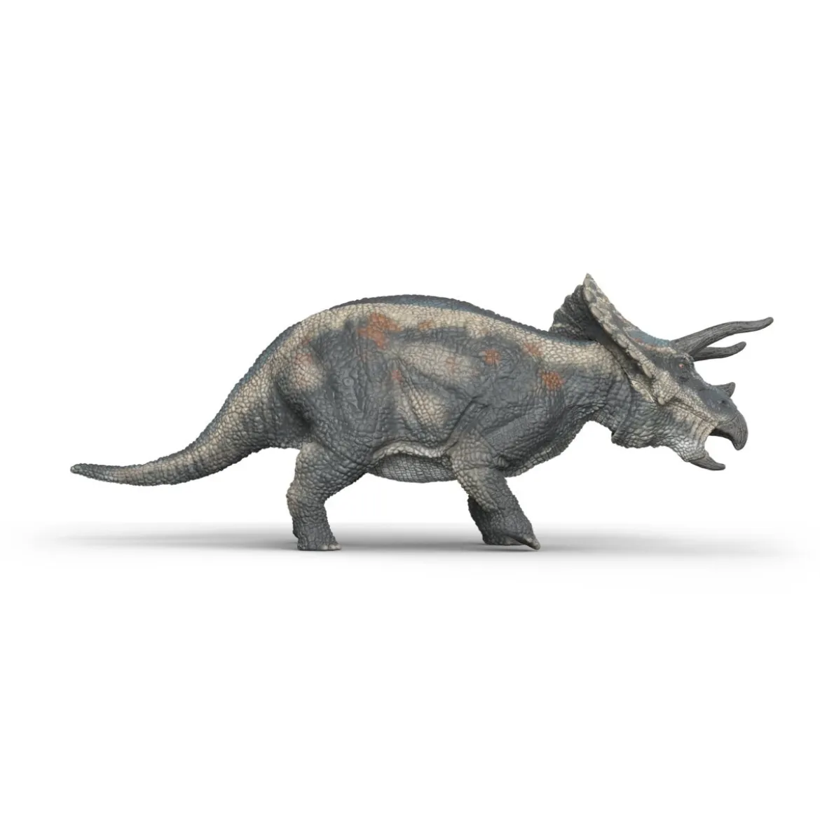Triceratops