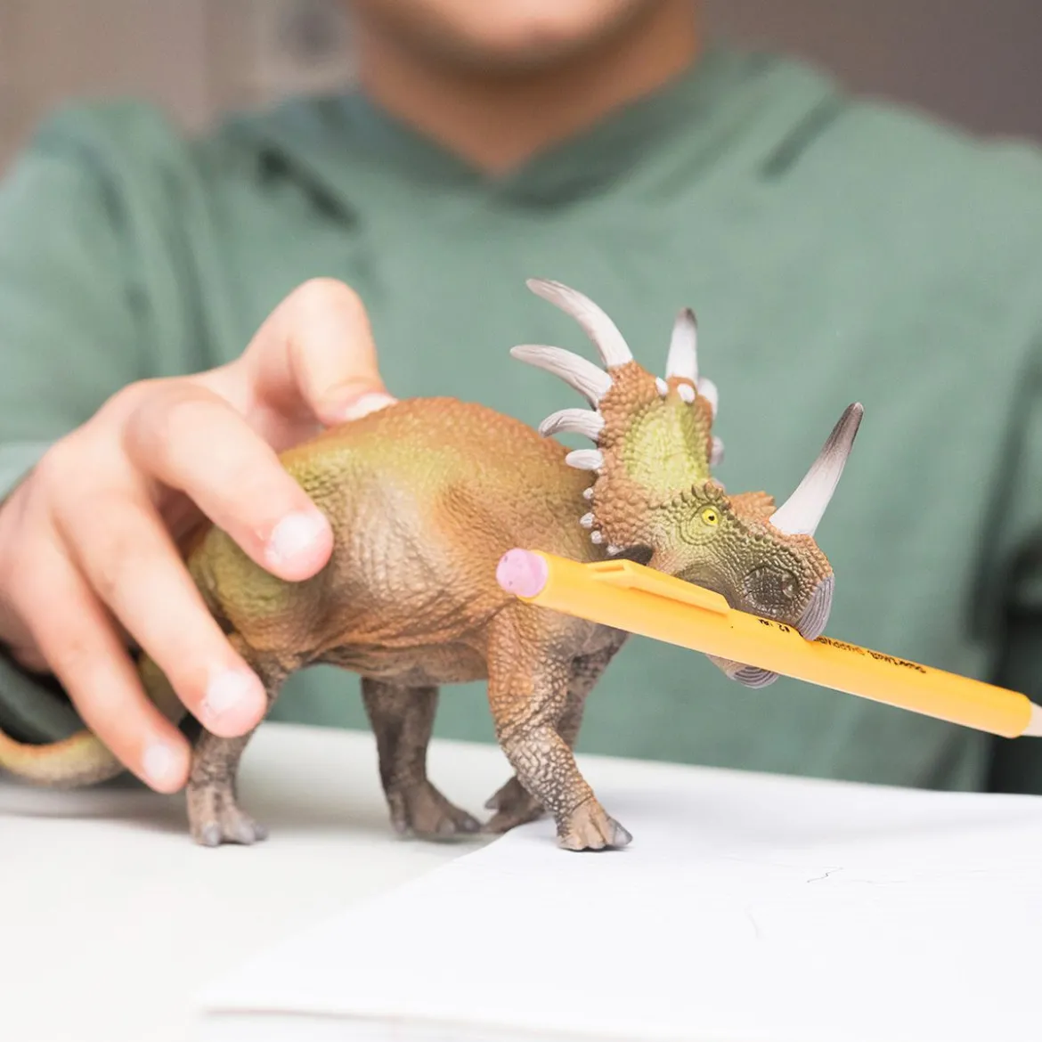 Triceratops