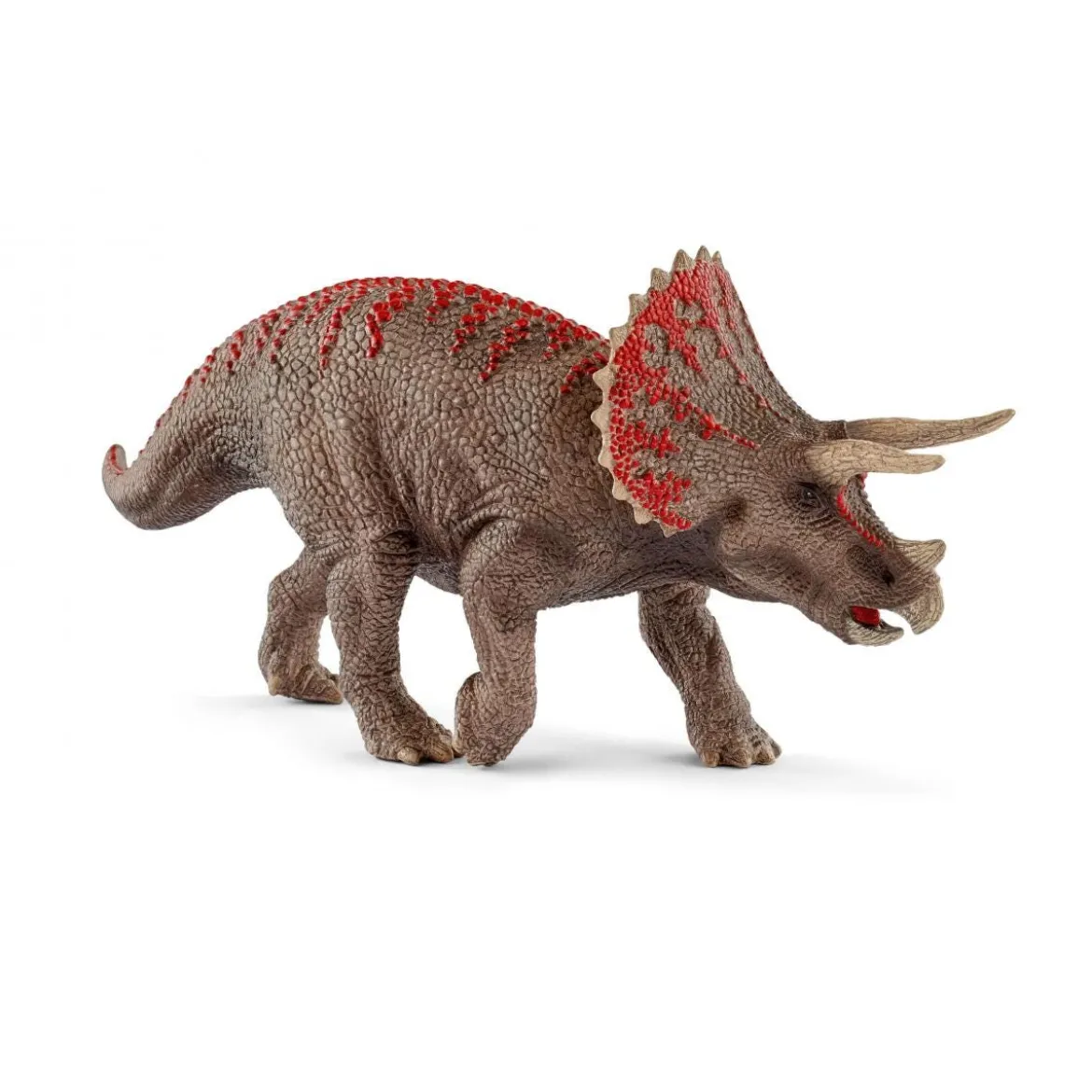 Triceratops