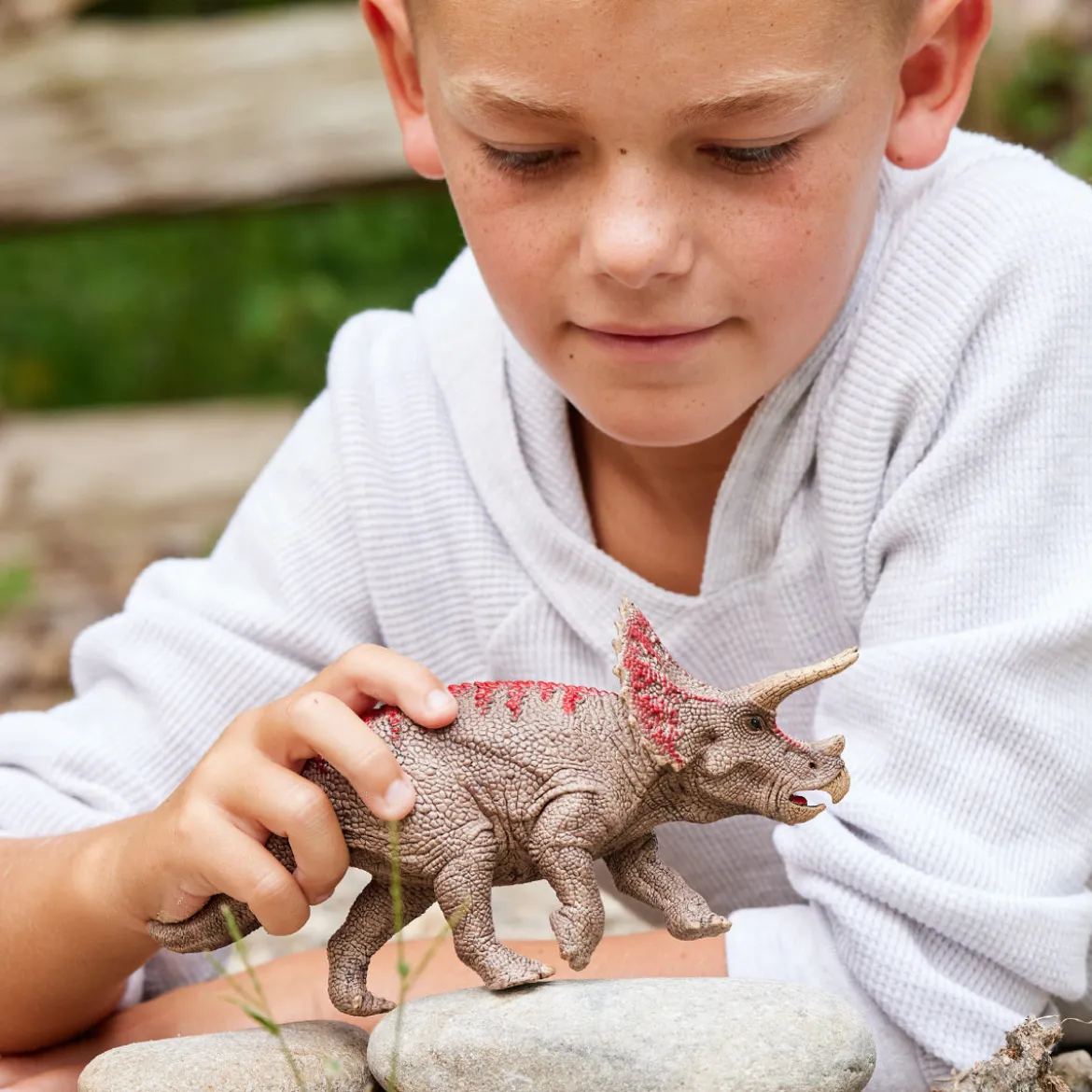 Triceratops