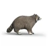 Waschbär