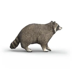 Waschbär