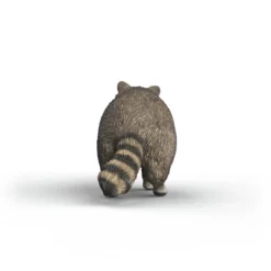Waschbär