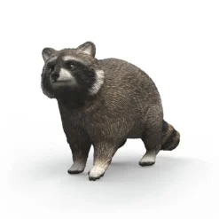 Waschbär