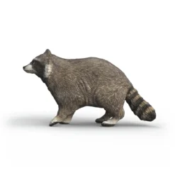 Waschbär