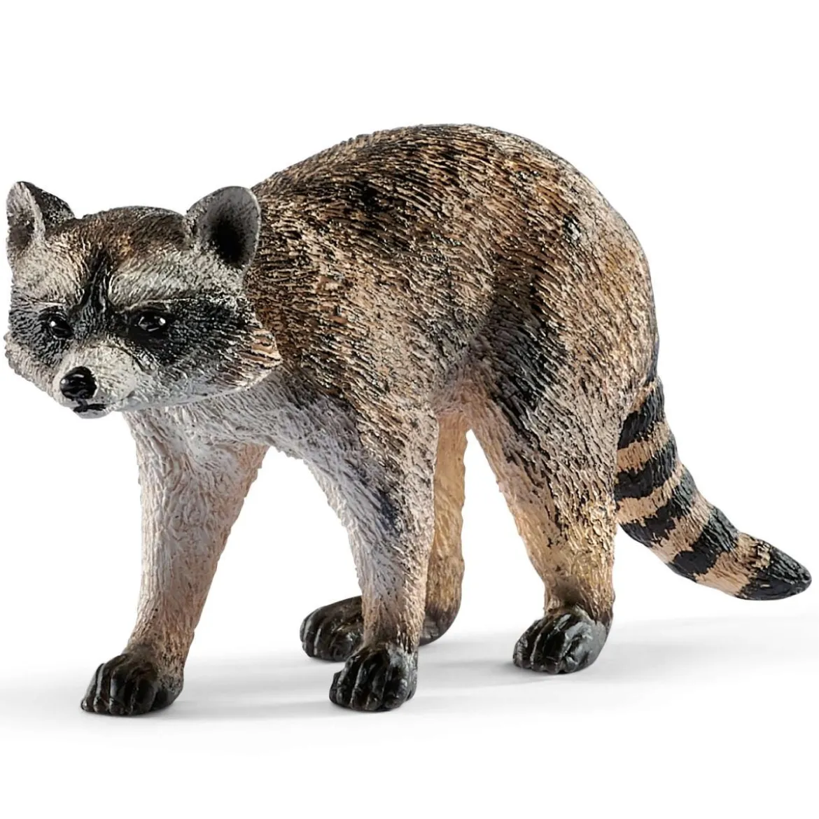Waschbär (bundle)