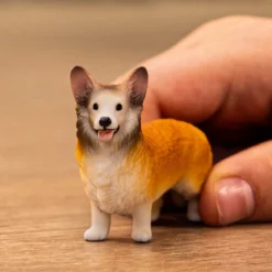 Welsh Corgi