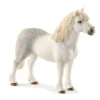 Welsh-Pony Hengst