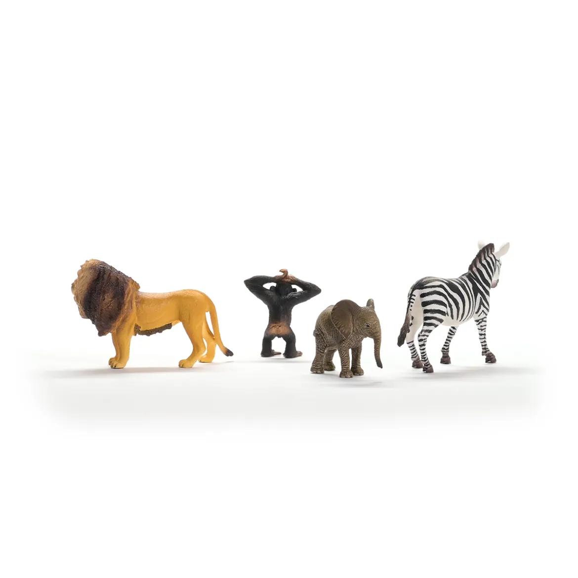 Wild Life Afrika Starter-Set