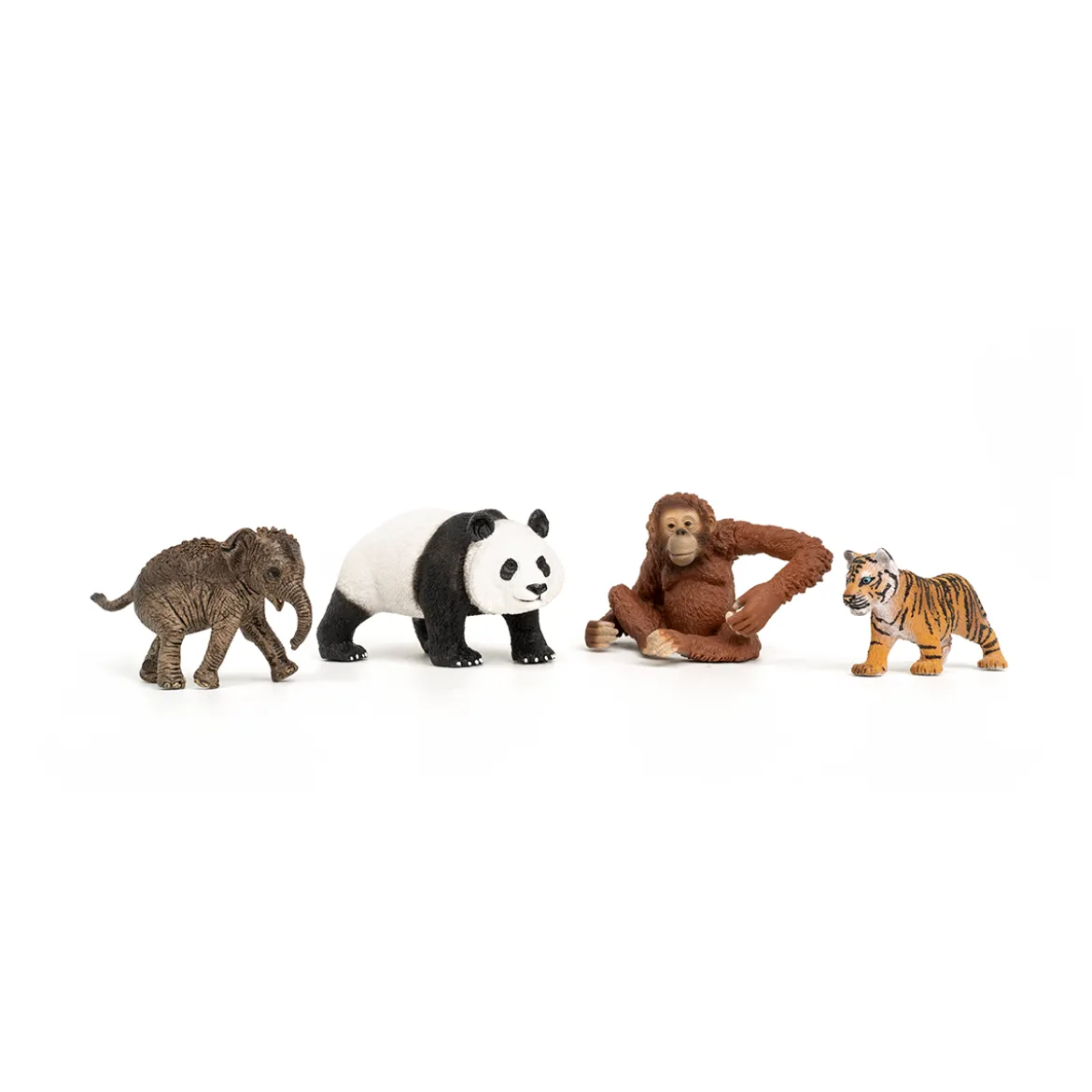 Wild Life Asien Starter-Set