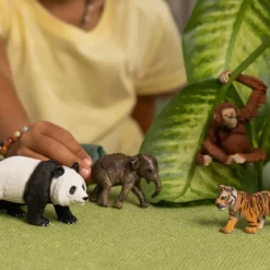Wild Life Asien Starter-Set