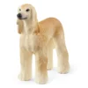 Windhund