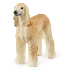 Windhund