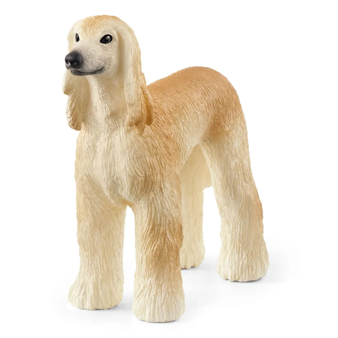 Windhund