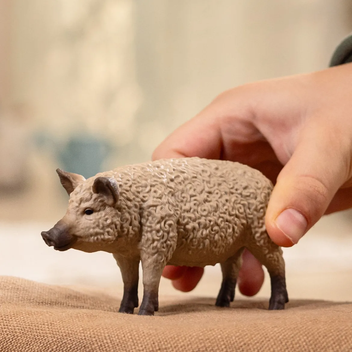 Wollschwein