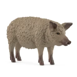 Wollschwein