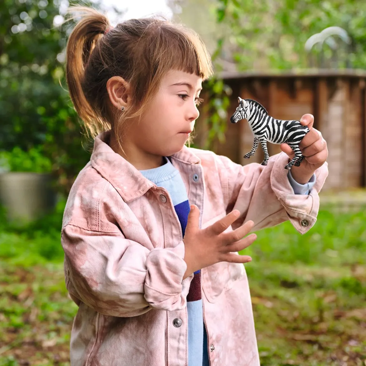 Zebra