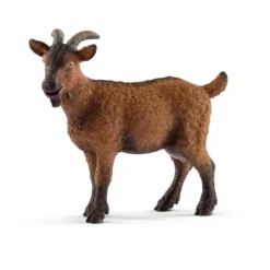 Ziege