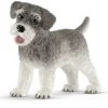 Zwergschnauzer