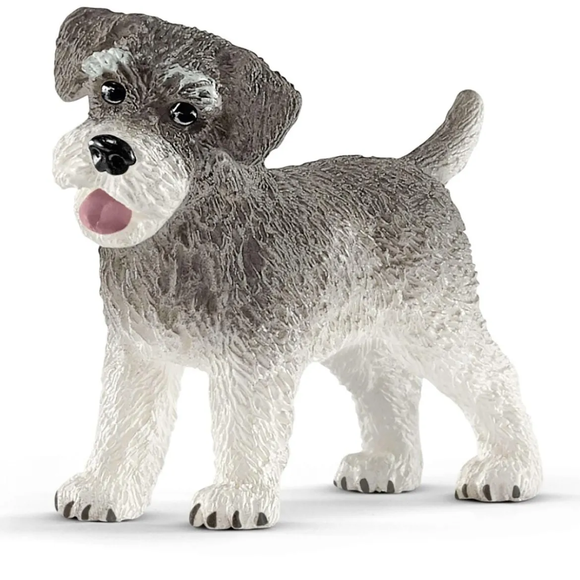 Zwergschnauzer